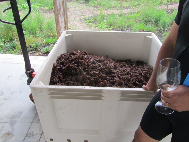 3. What variety is in the bin?