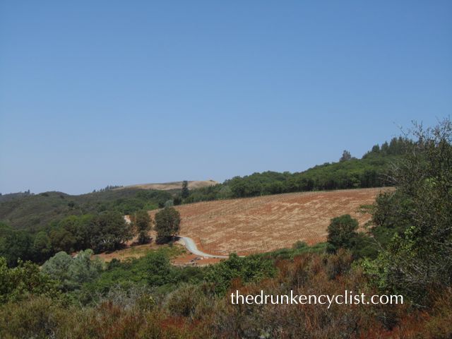 Another big name, Jackson Family Wineries, sees the value in Pine Mountain-Cloverdale Peak. The cleared land is a new 120 acre vineyard.
