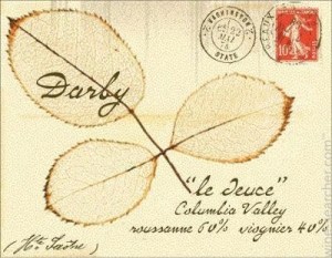 darby-winery-le-deuce-white-columbia-valley-usa-10374470