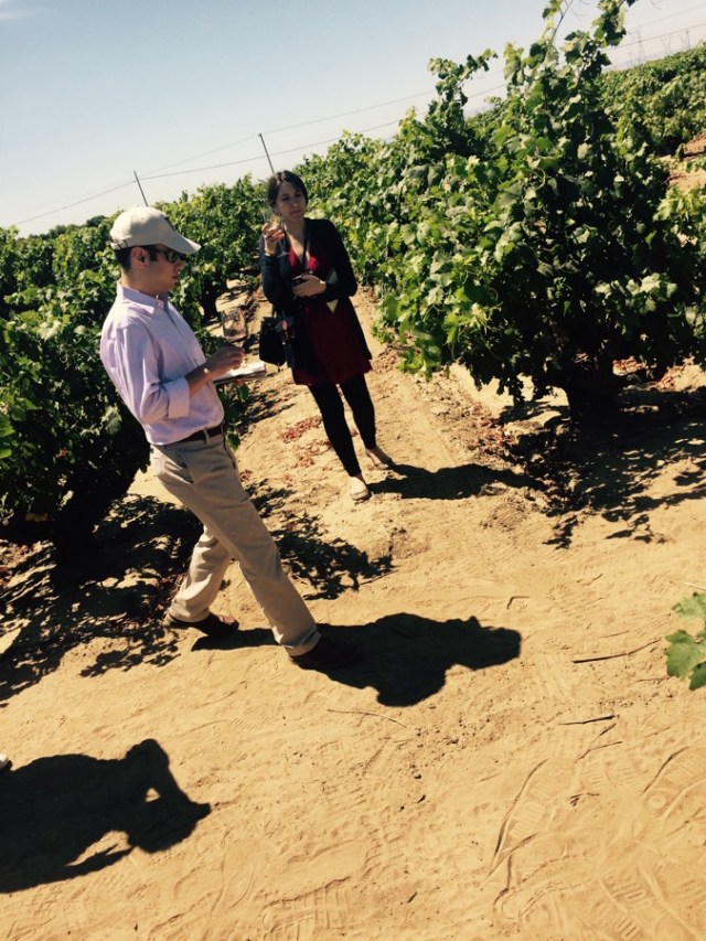 Claudia and Mark Angelillo of Snooth, seemingly as mesmerized by the soil as I was.