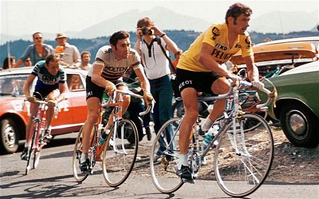 Bernard Thevenet with the Eddy Merckx (the Madeline Puckette of Cycling) on his wheel.