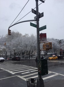 A great day to drink some rosé!