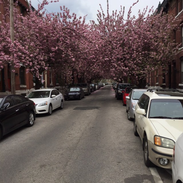 My street a couple of weeks ago.