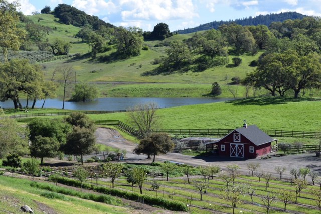 The grounds at the estate are vast and stunning.