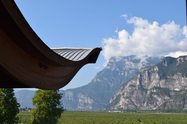 The following day, it was back to the winery, this time to visit Rotary and the sparkling wine production.