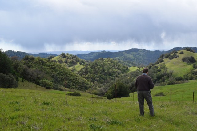 Chris Howell in the vineyard.