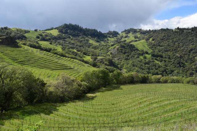 The Cain Vineyard is truly stunning.